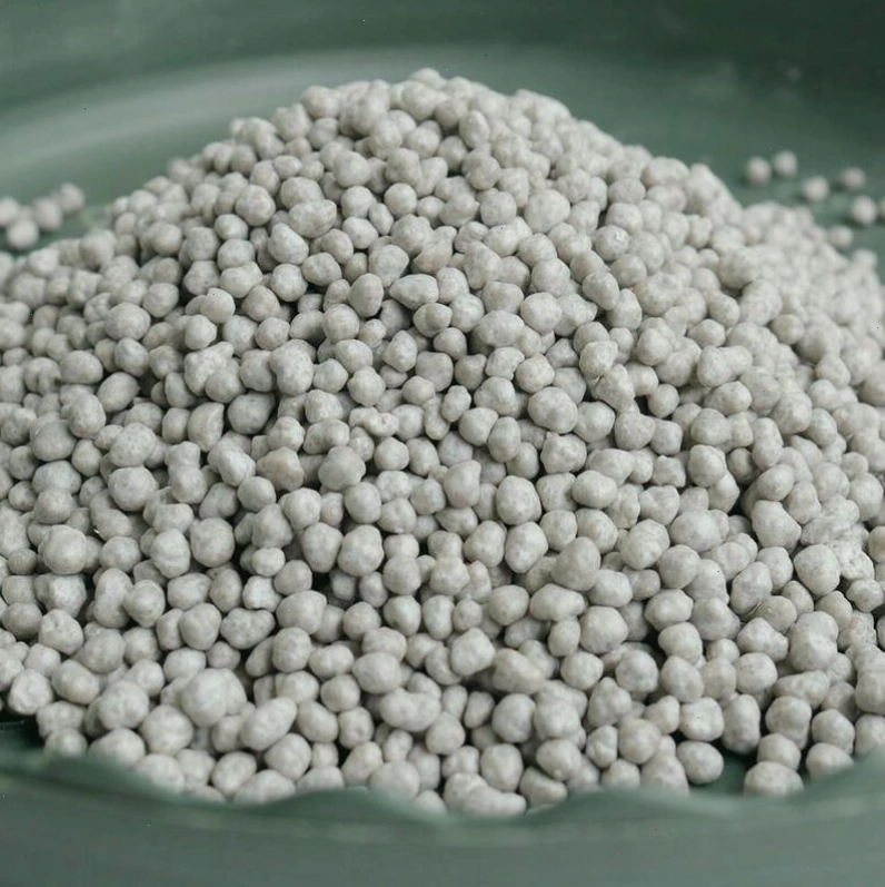 Cây lan phát triển khỏe mạnh nhờ dinh dưỡng từ phân chì nhật