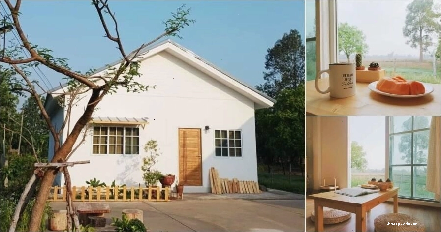 Nhà cấp 4 mái Thái nông thôn kết hợp hài hòa với thiên nhiên