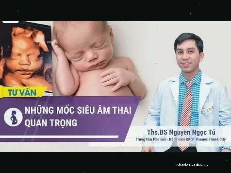 Video hướng dẫn cách xem ngày tốt xấu chuẩn xác theo lịch vạn niên