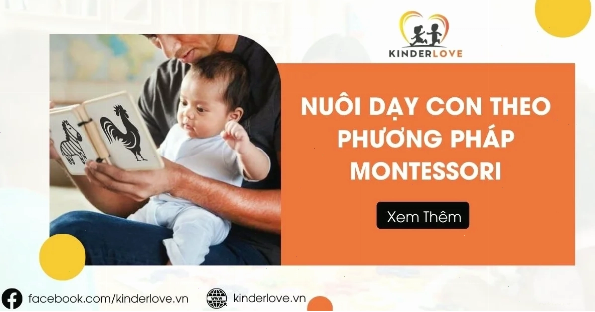 hướng dẫn cách nuôi dạy con theo phương pháp Montessori qua hoạt động thực tế